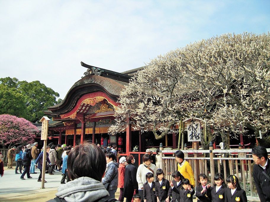 Dazaifu Tenmangu Half Day Tour Tour Outside The District Experience In Hakata Fukuoka Kyushu Japan